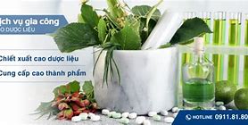 Công Ty Tnhh Tư Vấn Y Dược Quốc Tế