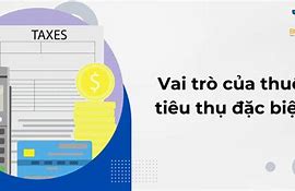 Thuế Tiêu Thụ Đặc Biệt Là Gì Cho Ví Dụ