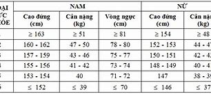 Tiêu Chuẩn Sức Khoẻ Đi Làm Công Ty Mỹ