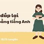 Xin Lỗi Tôi Không Hiểu Trong Tiếng Anh Là Gì